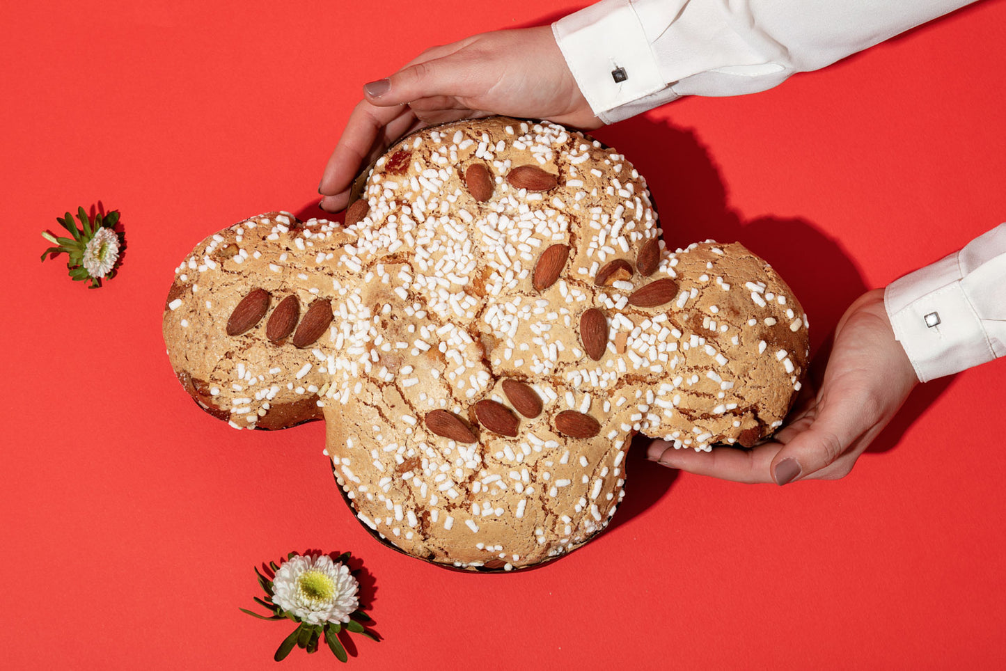 Colomba Classica